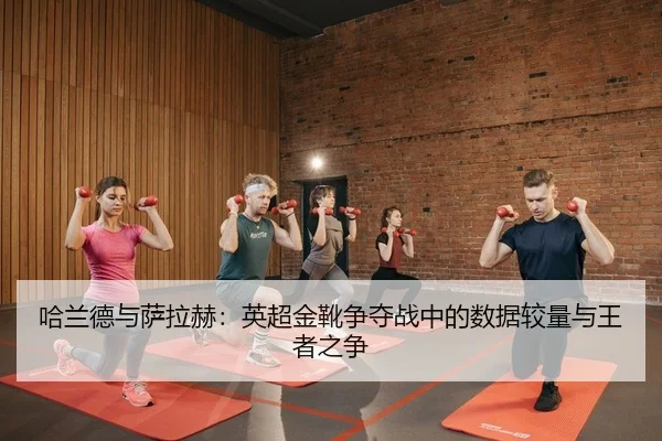 ha-lan-de-yu-sa-la-he-ying-chao-jin-xue-zheng-duo-zhan-zhong-de-shu-ju-jiao-liang-yu-wang-zhe-zhi-zheng-2-798.jpg